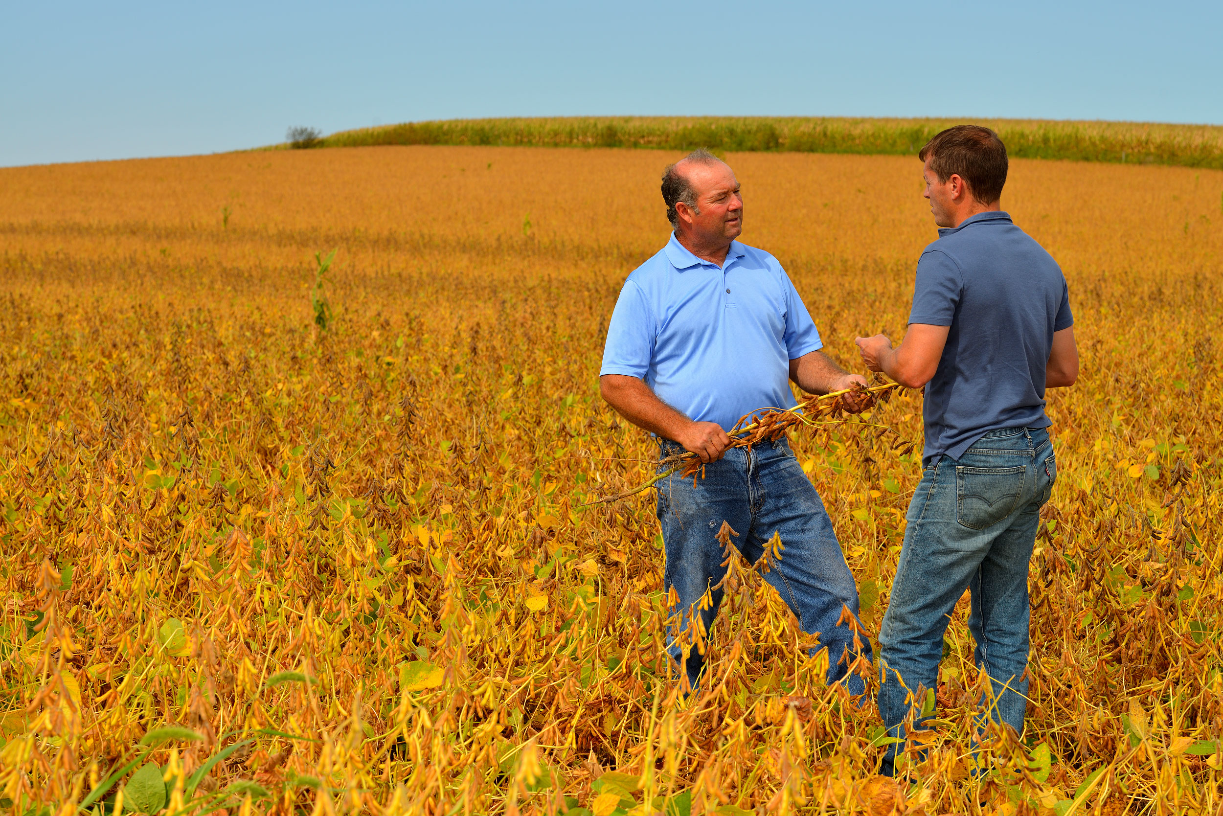 290904_GBP_0668_Gaul